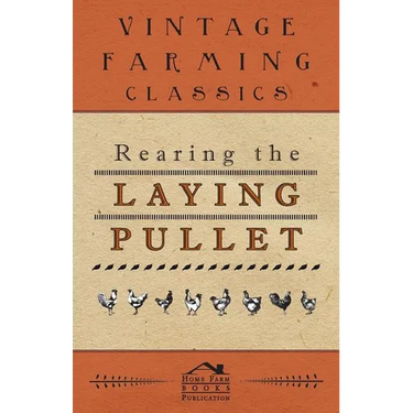 Rearing the Laying Pullet