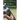 Shotguns and Shooting