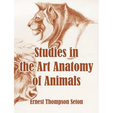 Studies in the Art Anatomy of Animals