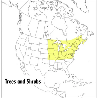 A Field Guide to Trees and Shrubs: Northeastern and North-Central United States and Southeastern and South-Central Canada