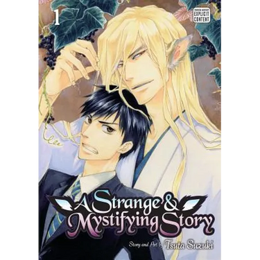 A Strange & Mystifying Story, Vol. 1