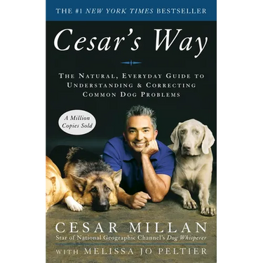 Cesar's Way: The Natural, Everyday Guide to Understanding and Correcting Common Dog Problems