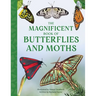 The Magnificent Book of Butterflies and Moths