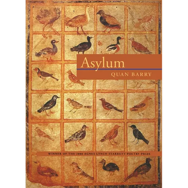 Asylum