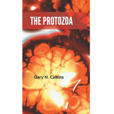The Protozoa