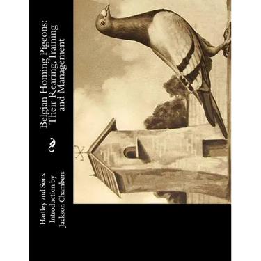 Belgian Homing Pigeons: Their Rearing, Training and Management