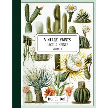 Vintage Prints: Cactus Prints