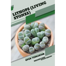 Lithops (Living Stones): Open terrarium, Beginner's Guide