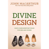 Divine Design: God's Complementary Roles for Men and Women