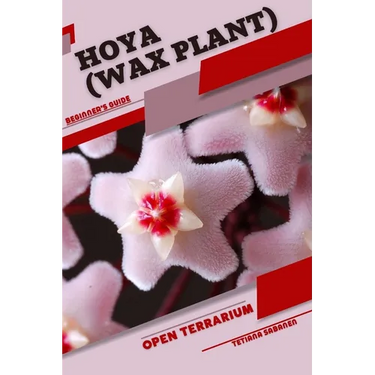 Hoya (Wax Plant): Open terrarium, Beginner's Guide