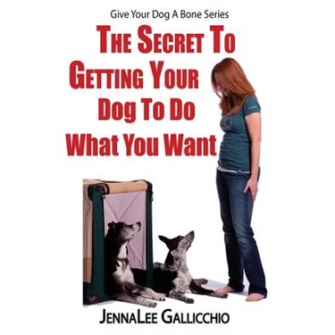The Secret To Getting Your Dog To Do What You Want