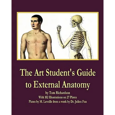 The Art Student's Guide to External Anatomy