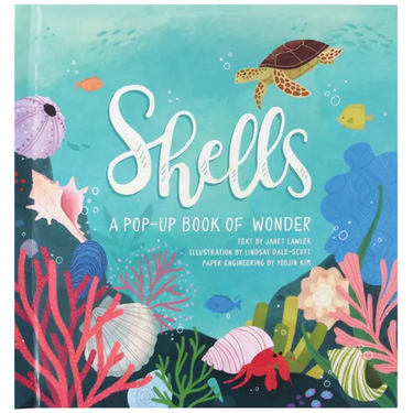 Shells: A Pop-Up Book of Wonder