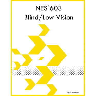 NES 603 Blind/Low Vision