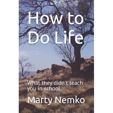 How to Do Life: What they didn't teach you in school