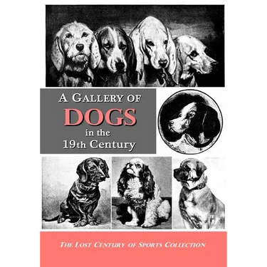A Gallery of Dogs in the 19th Century: 350 Photographs & Illustrations from 50 Books & Magazines Published from 1858 to 1898