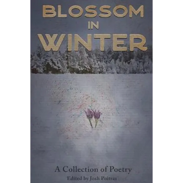 Blossom In Winter
