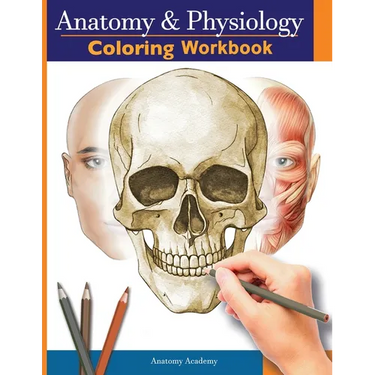 Anatomy and Physiology Coloring Workbook: The Essential College Level Study Guide Perfect Gift for Medical School Students, Nurses and Anyone Interest