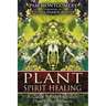 Plant Spirit Healing: A Guide to Working with Plant Consciousness