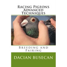 Racing Pigeons Advanced Techniques: Breeding and Pairing