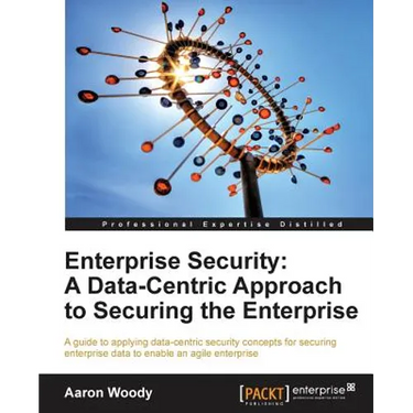 Enterprise Security: A Data-Centric Approach to Securing the Enterprise