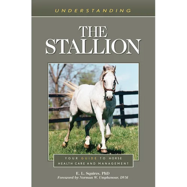Understanding the Stallion: Your Guide to Horse Health Care and Management
