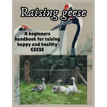 Raising Geese: A beginners handbook for raising happy and healthy GEESE