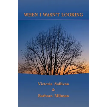 When I Wasn't Looking