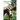 Epona's Gift