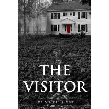 The Visitor: The suspense thriller with a twist
