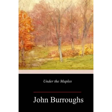 Under the Maples