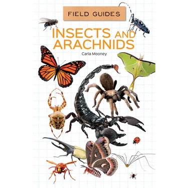 Insects and Arachnids