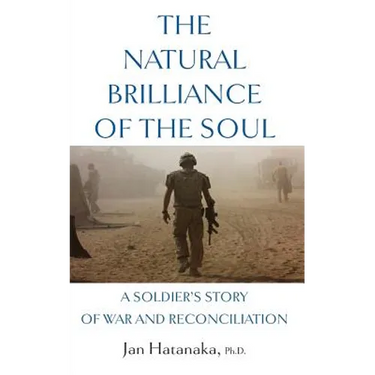 The Natural Brilliance of the Soul: A Soldier's Story of War and Reconciliation