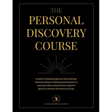 The Personal Discovery Course