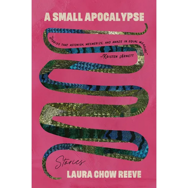 A Small Apocalypse: Stories