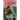 Angelica: A Christian Romance