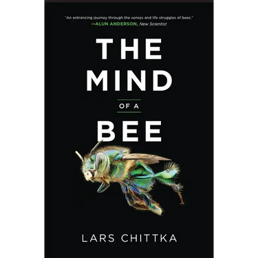The Mind of a Bee
