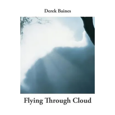 Flying Through Cloud