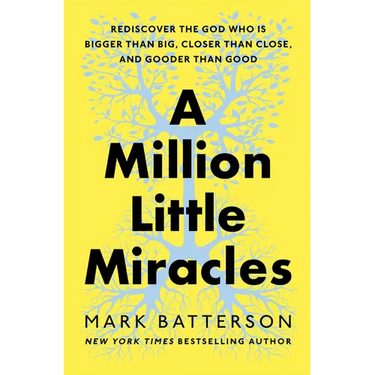 A Million Little Miracles: Rediscover the God Who Is Bigger Than Big, Closer Than Close, and Gooder Than Good