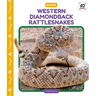 Western Diamondback Rattlesnakes