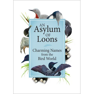 An Asylum of Loons: Charming Names from the Bird World