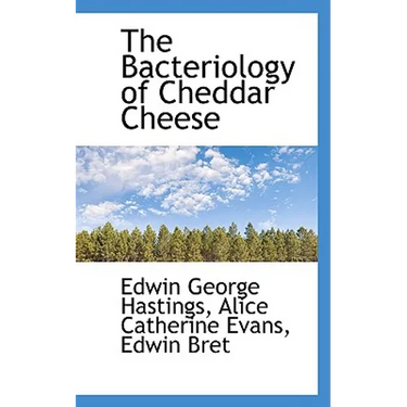 The Bacteriology of Cheddar Cheese