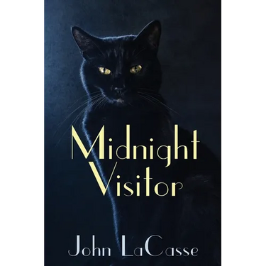 Midnight Visitor