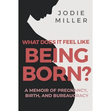 What Does It Feel Like Being Born?: A memoir of pregnancy, birth and bureaucracy