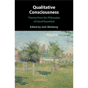 Qualitative Consciousness