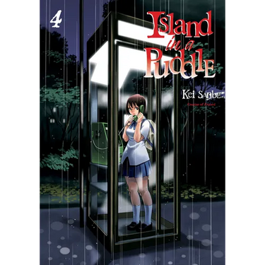 Island in a Puddle 4