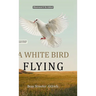 A White Bird Flying (Hans Illustrated Classics Edition): A Beautifully Illustrated & Thoughtfully Re-Edited Presentation of Bess Streeter Aldrich's Be