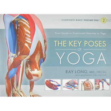 The Key Poses of Yoga