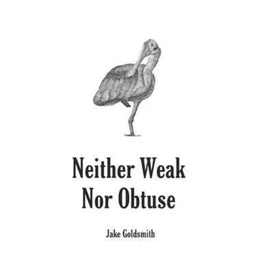 Neither Weak Nor Obtuse: A Memoir