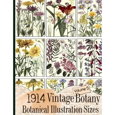 1914 Vintage Botany Botanical Illustration Sizes